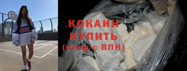 молекула духа Арсеньев