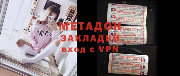 прущие грибы Аркадак
