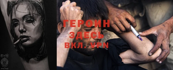 прущие грибы Аркадак