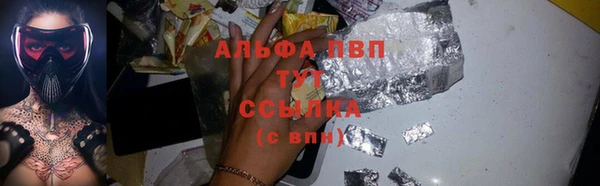 прущие грибы Аркадак