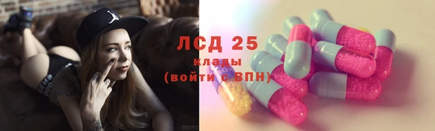 молекула духа Арсеньев