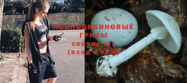 ECSTASY Армянск