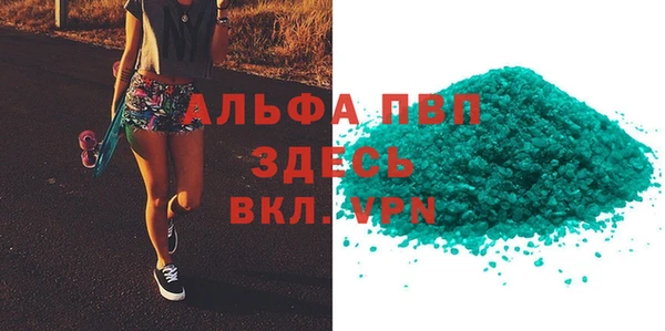 молекула духа Арсеньев