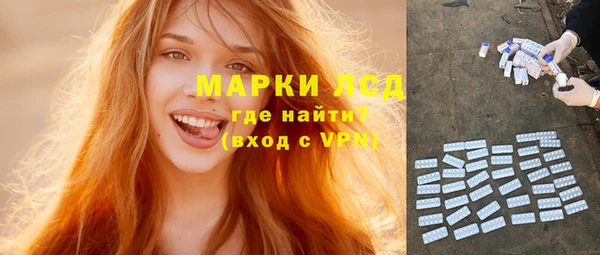 прущие грибы Аркадак