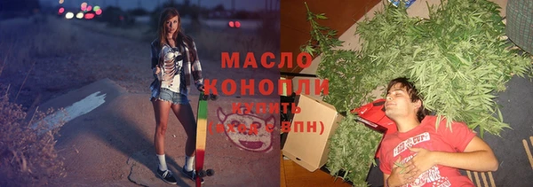 прущие грибы Аркадак