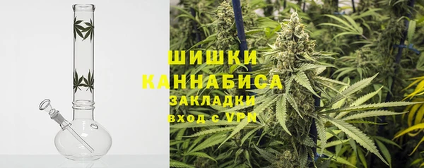 прущие грибы Аркадак
